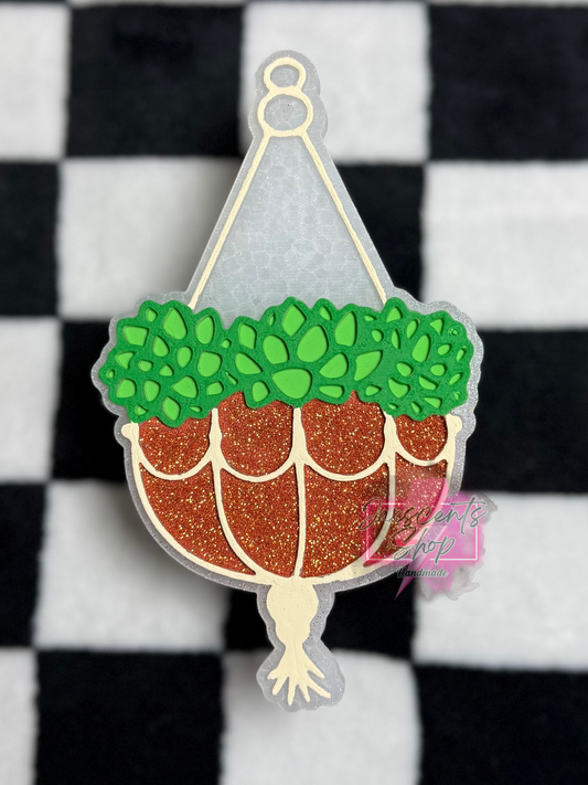 Succulent Hanging Plant