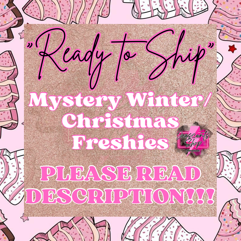 RTS Mystery Winter / Christmas Freshie (PLEASE READ DESCRIPTION)