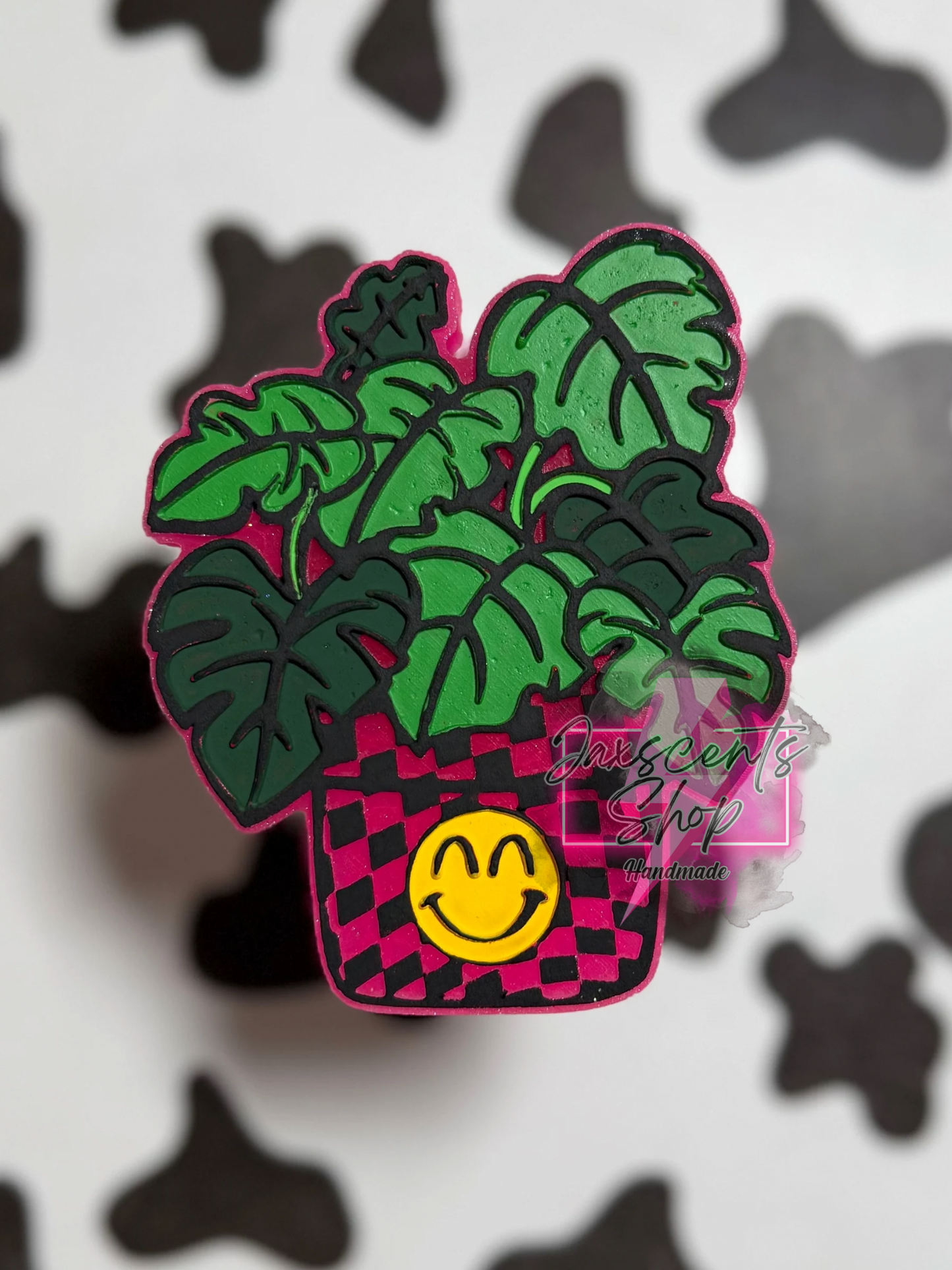 Checkered Monstera