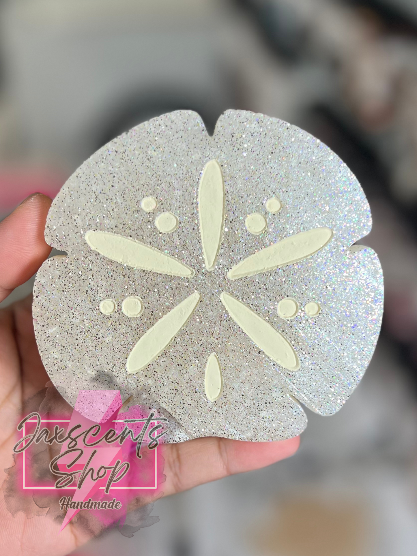 Sand Dollar