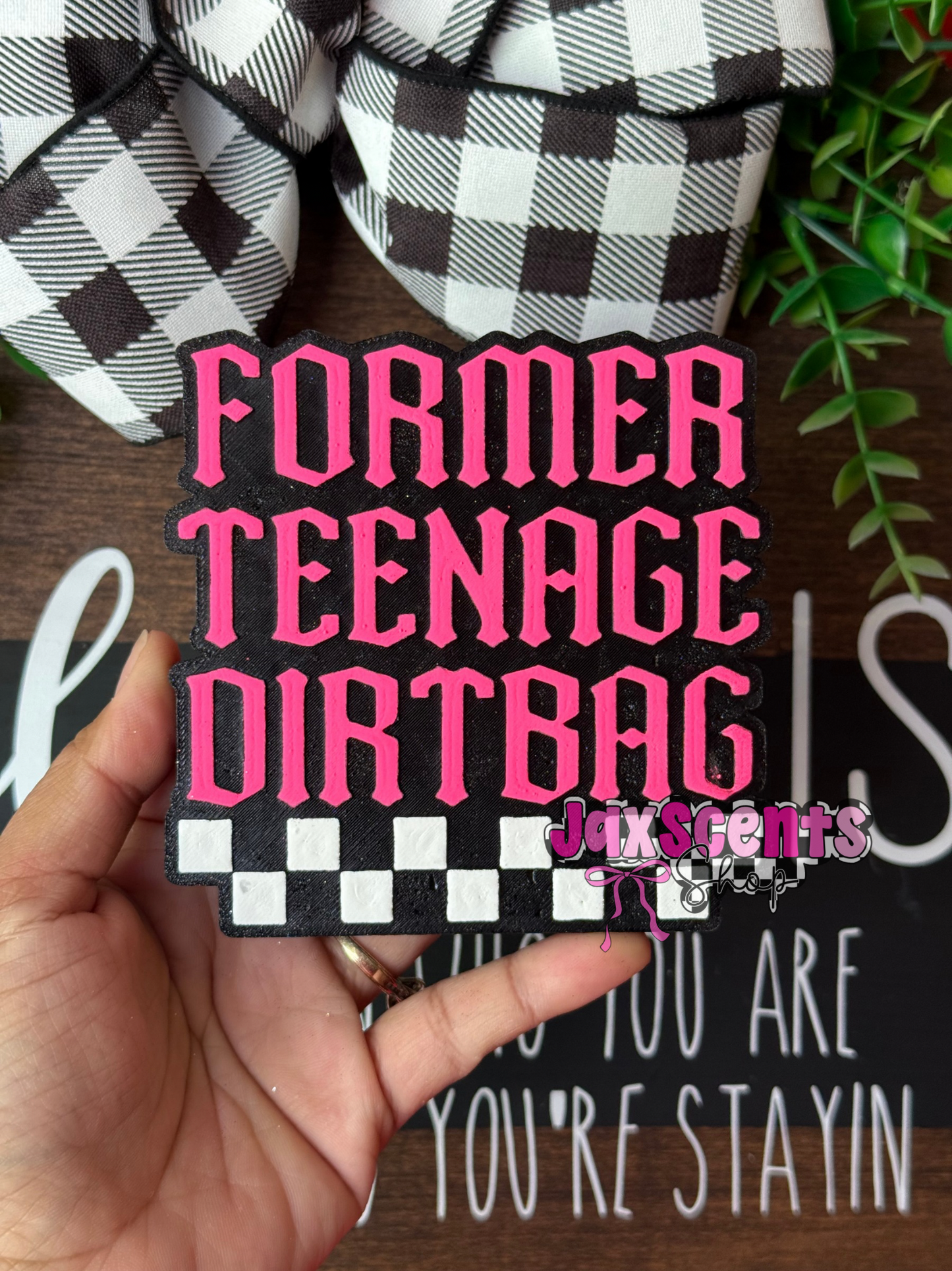 Former Teenage Dirtbag Car Freshie