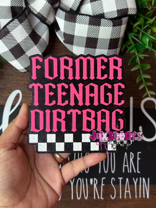 Former Teenage Dirtbag Car Freshie