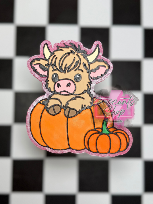 Highland Cow in a Pumpkin